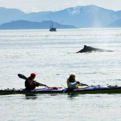 274c-kayak-with-whales.jpg.1024x0